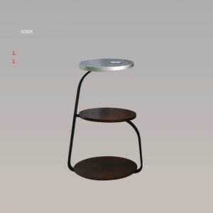 ALISA Ethan Wireless Floor Lamp